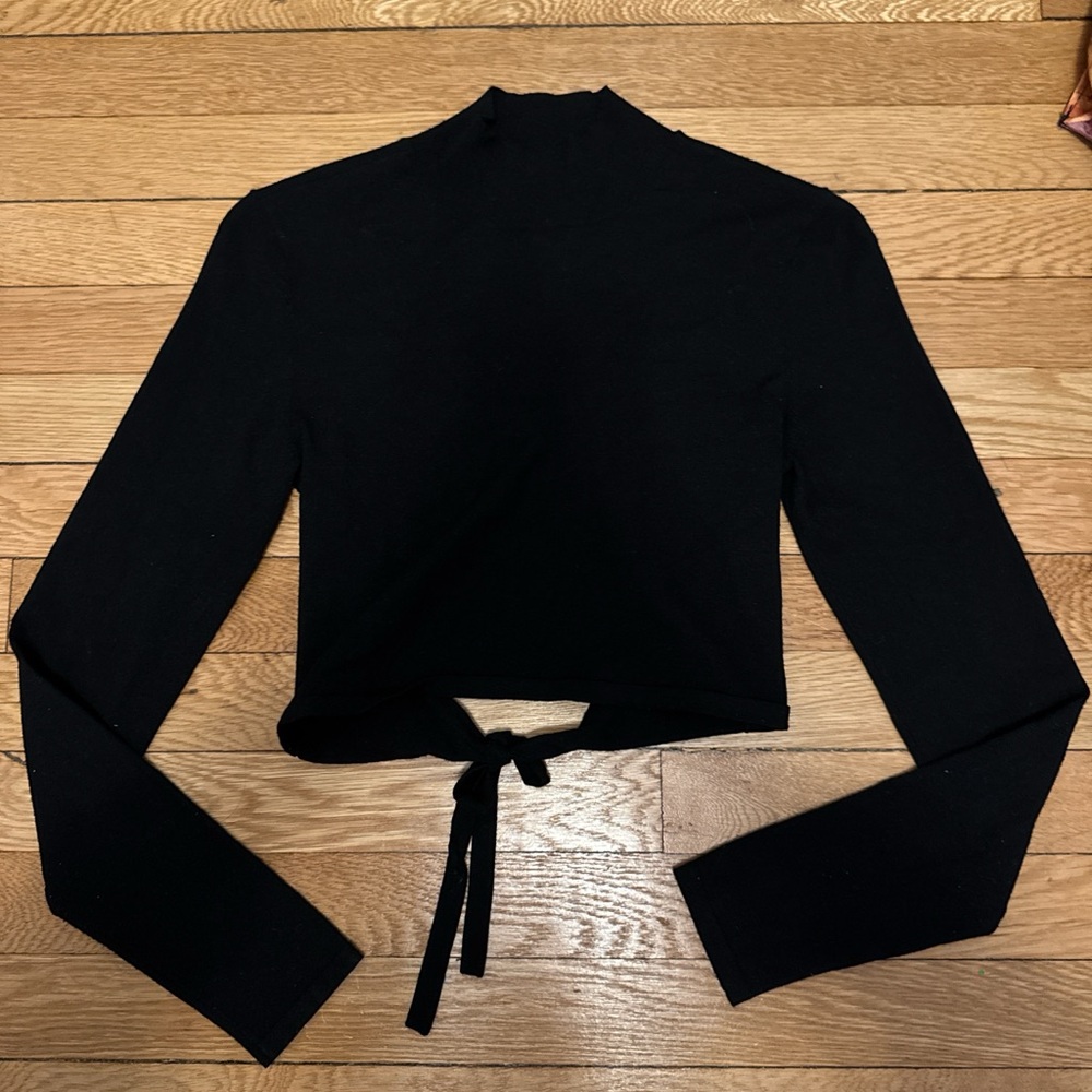 aritzia longsleeve turtleneck top